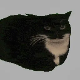 Dönen Kedi Tıklaması: Miyav Maratonu!