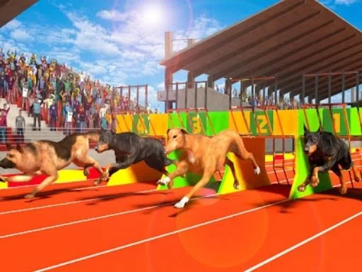 Köpek Macerası 3D: Koşmaya Hazır Ol!